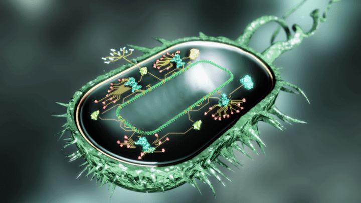 Наполовину живые «клетки-киборги» способны выжить там, где не выживают нормальные микроорганизмы